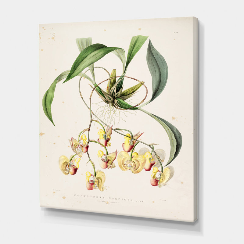 «Vintage Blossoming Flower I», peinture sur toile, Toile tendue, H 32 po x l 24 po x P 1 po