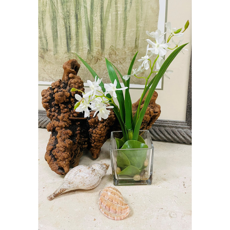Orchidée Vanda en verre 13 "