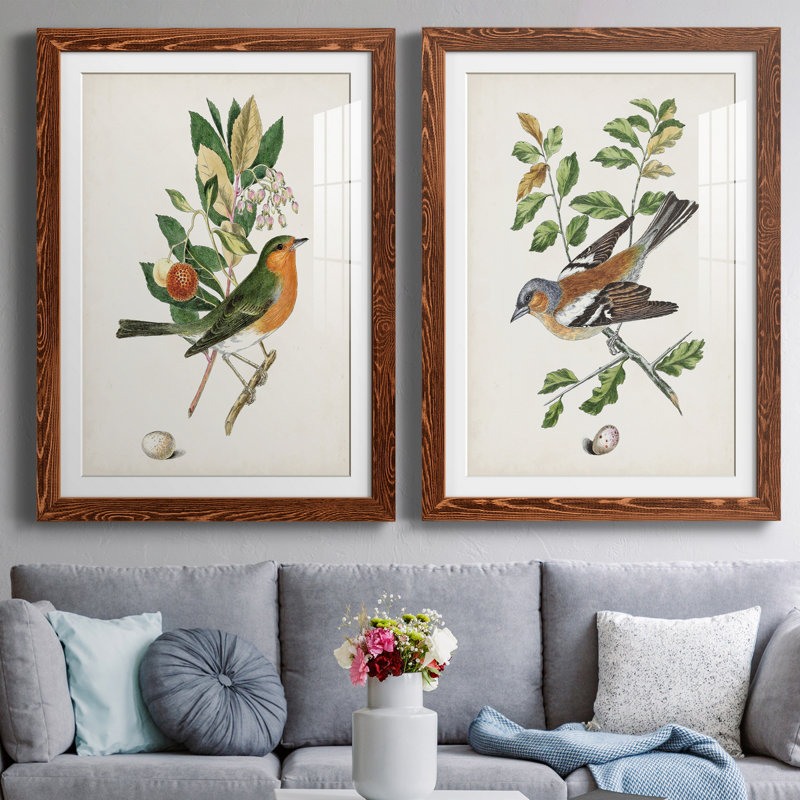 Oiseau antique, botanique et œuf I - ensemble de 2 reproductions d'art sur papier encadré, H 37,5 po x l 55 po x P 1,5 po