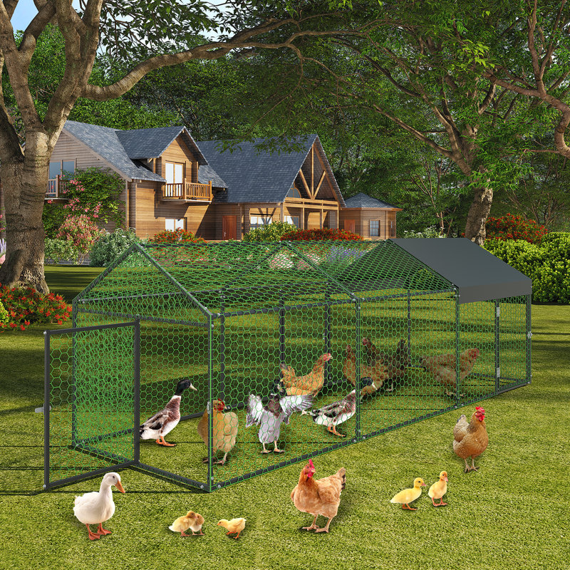 Chicken Run, Matte Black, 100cm H x 100cm W x 300cm D