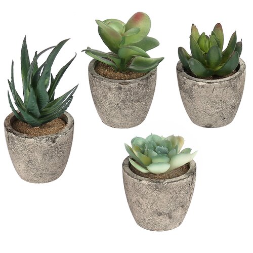 Primrue 3.5'' Faux Succulent in Pot & Reviews | Wayfair