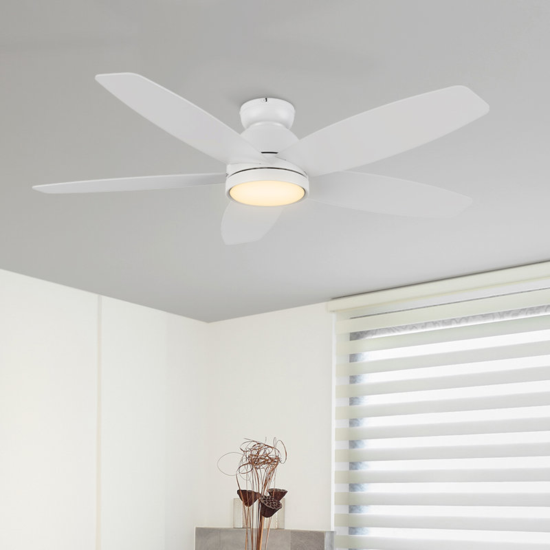 52'' Ceiling Fan with LED Lights, White, White