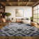 Bethlyn Ikat Ivory/Charcoal Area Rug
