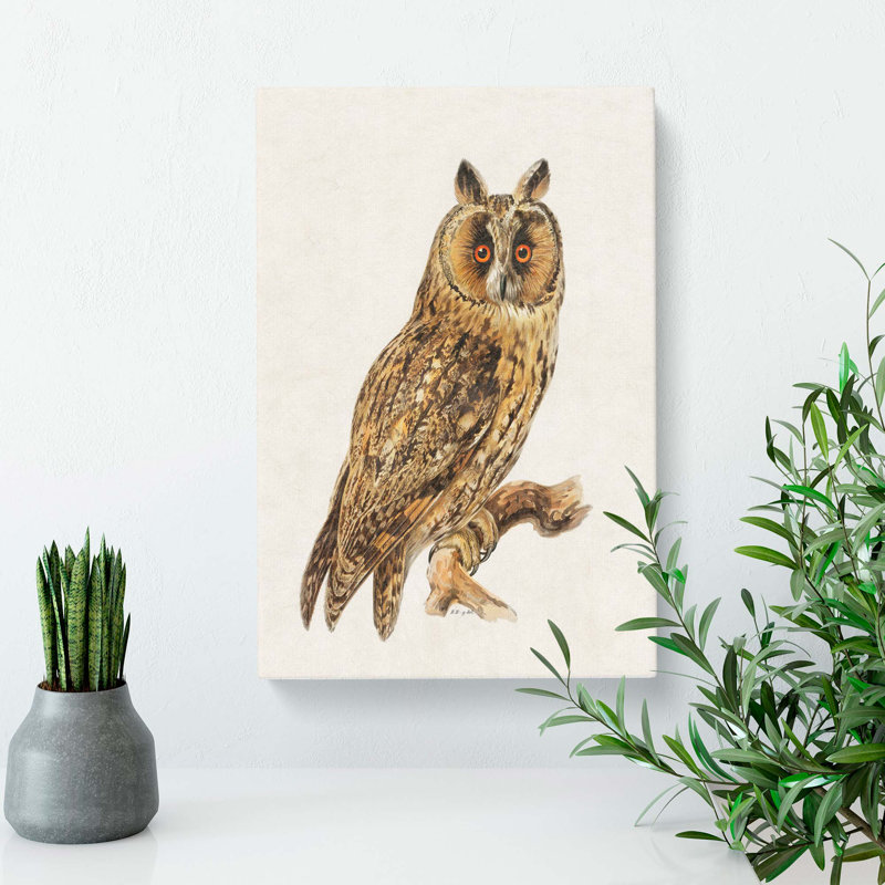 Long-Eared Owl by Von Wright - Wrapped Canvas, 50cm H x 35cm W x 3cm D