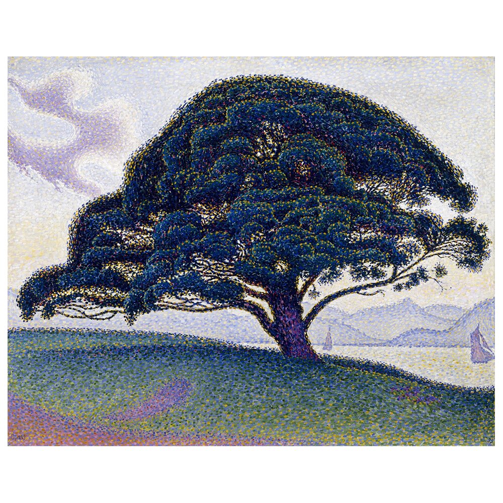 Leinwandbild Die Kiefer von Bonaventura von Paul Signac