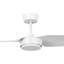 Breanainn 137cm Ceiling Fan-1482946587