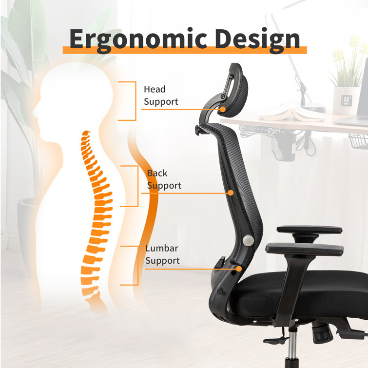 Ergonomic Office Chair with 2D Armrest Adjustable Lumbar Support & Hea