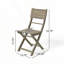 Chaise de salle à manger d'extérieur pliante en bois (ensemble de 2)