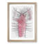 The Pink Lobster - Picture Frame Painting Print-56854966-56854965