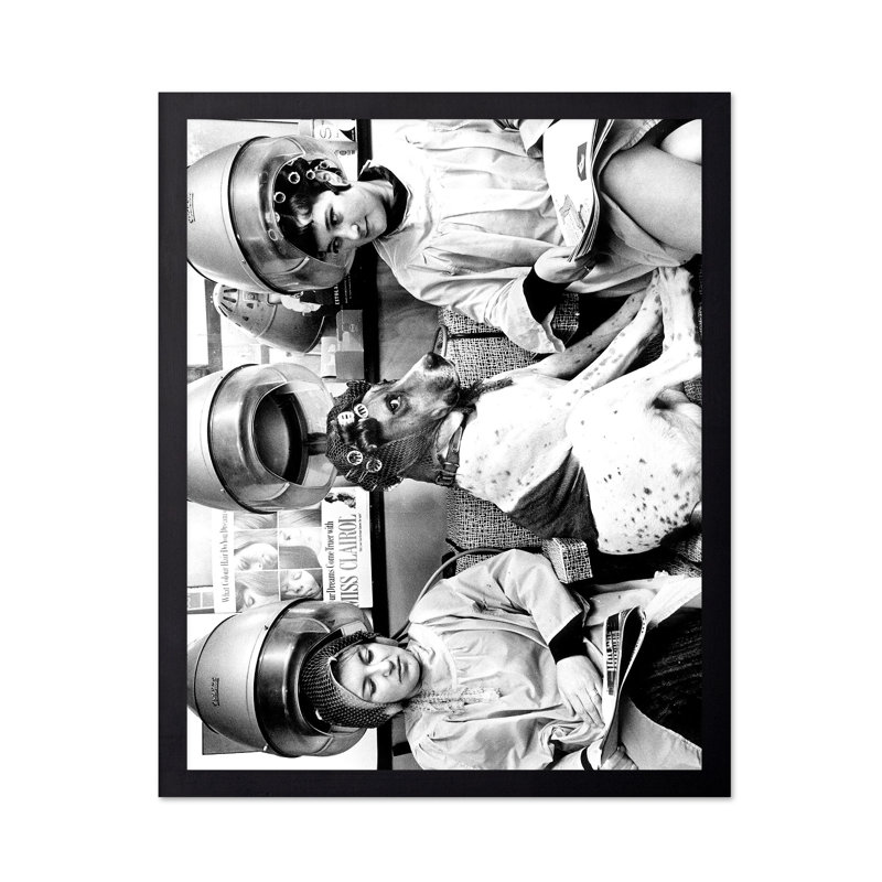 Chien dans le spa, Unframed, Poster, 18"H x 24"W