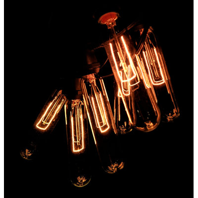 Commercial Edison String Lights Plug-in Novelty
