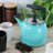 2.2 Quart Stainless Steel Tea Kettle in Teal