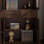 Bibliothèque de luxe American Light