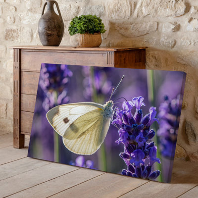 Canvas A Delicate White Butterfly Perches Gracefully On Vibrant Purple Lavender Wall Art Flowers Capturing The Essence Of A Serene Canvas Wall Art
