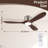 CEILING FANS LIGHT