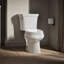 Wellworth® 1.28 GPF Elongated Two-Piece Toilet (Seat Not Included)-101431388-10977945
