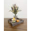 Arrangement de récolte d'automne-24487977