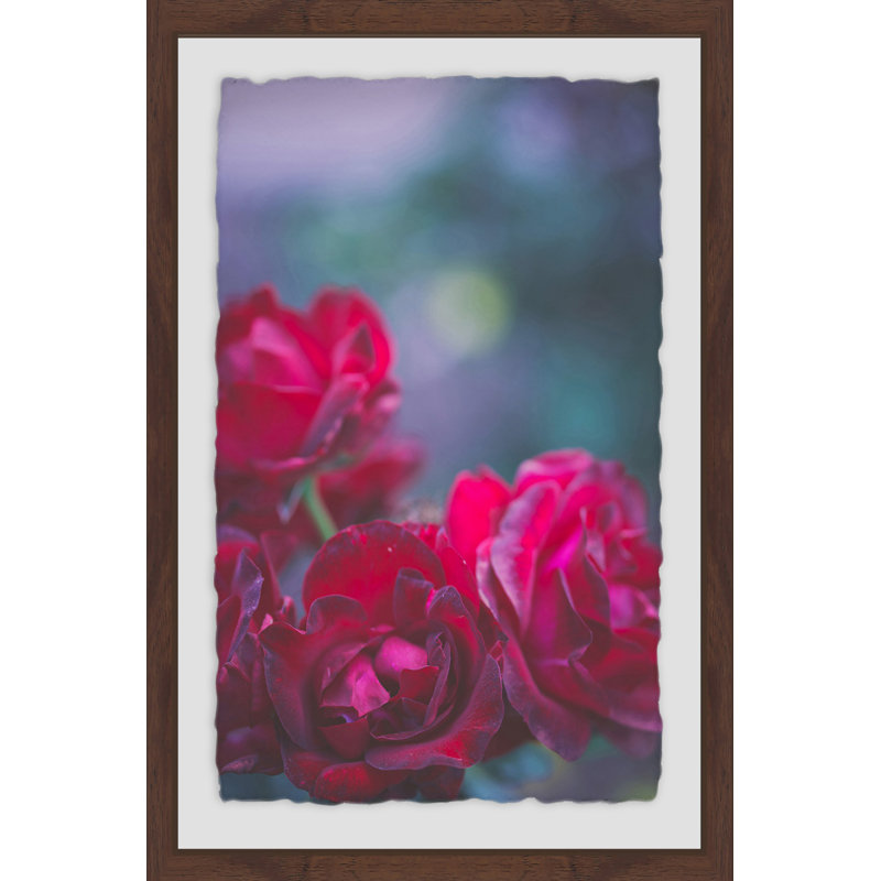 Roses Are Red by Ann Barnes - Single Picture Frame Print, 91cm H x 61cm W x 4cm D