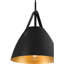 Luminaire suspendu 1 lumière Roxeanne