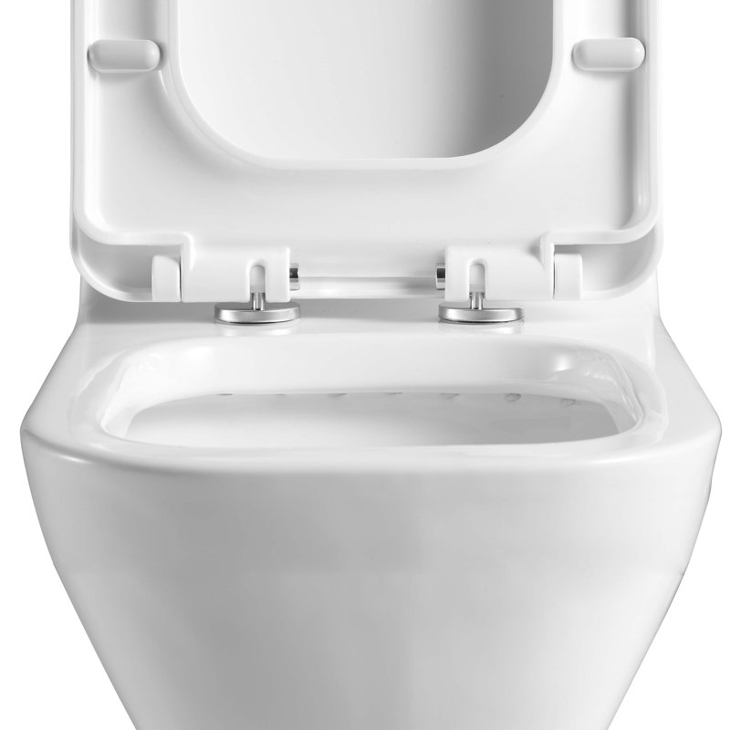 Dual-Flush One-Piece Toilet (Seat Included), White