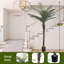 Artificial Palm Tree-1226994341