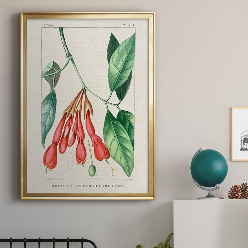Turpin Tropical Botanicals I, reproduction d'art encadrée, Encadrement doré, H 42,5 po x l 30,5 po x P 1 po