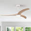Ventilateur de plafond 52 po-1070998728-1070998730