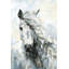 Parvez Taj - Wrapped Canvas Painting-36743712