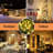 Dametria 66 ft Solar  String Light  200 - Bulb LED  Fairy String Lights Holiday Decorations-2145642431