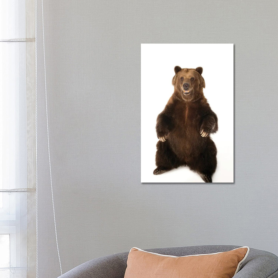 A Federally Threatened Grizzly Bear At Sedgwick County Zoo von Joel Sartore - Gallery-Wrapped Canvas Giclée on Canvas