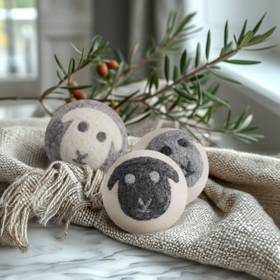 Ensemble de 3 boules de séchage MODWOOL