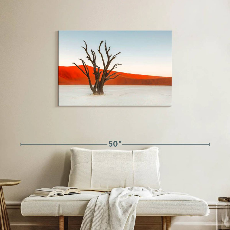 Harnek Deadvlei Bare Camel Thorn Tree