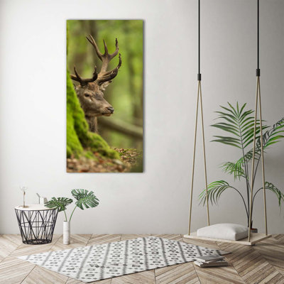 Deer - Wrapped Canvas Print
