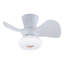Ventilateur de plafond à DEL 22 po