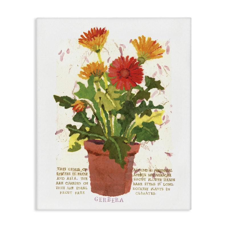 Art mural sur toile, "Gerbera Daisies" en pot par Nancy Overton, H 20 po x l 16 po