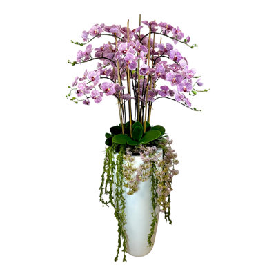 5.25' Orchid Arrangement with Weeping Laurel in Fiberstone Planter