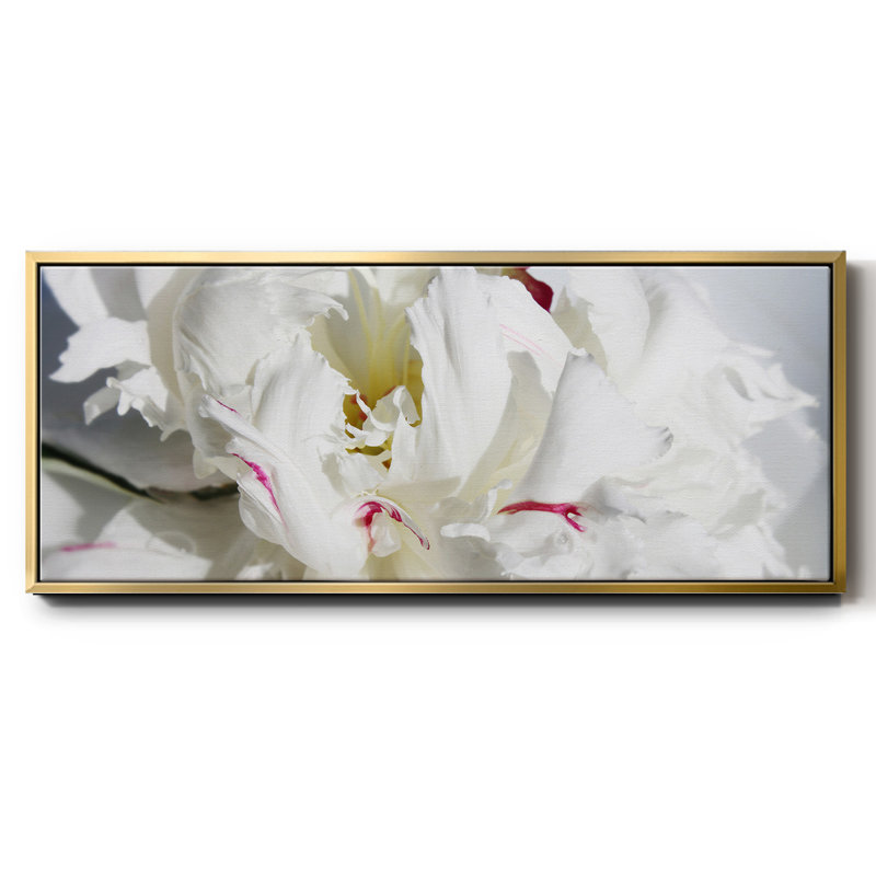Breathless I- Framed Canvas, 24" H x 60" W