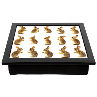 Breakfast Tray