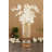 Elegant Gold Glass Vase, 3.9 x 11.8 x 3.9 inches | 100% Glass Construction | Perfect for Home Décor, Centerpieces & Flower Arrangements | Stylish Design, Ideal for Modern Living Spaces & Gifts-285963847