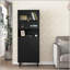 Grande armoire de rangement avec 2 portes vitrées et 2 portes solides, garde-manger durable et élégant-353952307