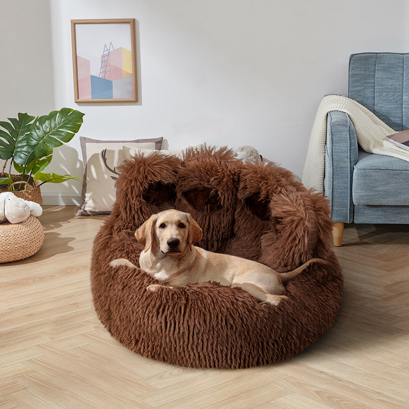 Creative Cute Bear Paw Dog and Cat Bed, Brown, 20 cm H x 50 cm W x 50 cm D