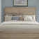 Chantee Panel Headboard