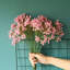 Arrangement floral Baby's Breath-1070477549-1070477539