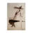 Bolog Frederic Belaubre Icarus Canvas Art-103094888