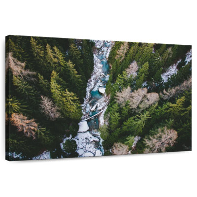 Paysage de la forêt d'Alvord