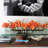 Arrangement in Planter-192753515-192753514