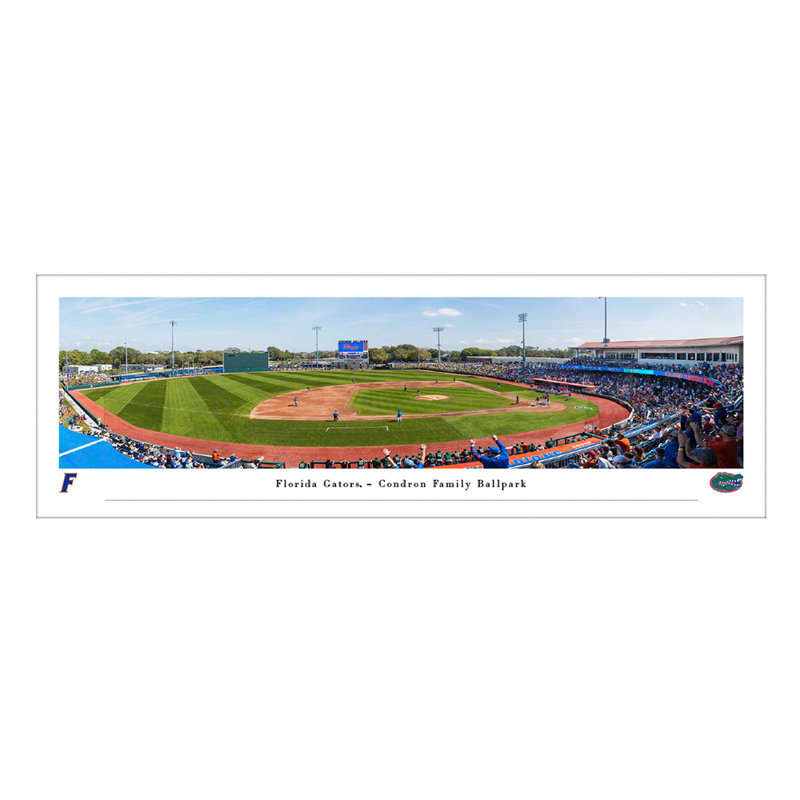 Brotherton Florida Gators Baseball - Unframed Print