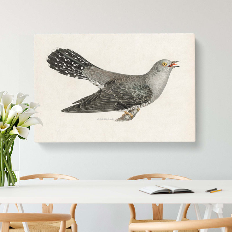 Common Cuckoo by Von Wright - Wrapped Canvas, 35cm H x 50cm W x 3cm D