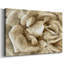 «Neutral Wall Flower II», toile tendue avec châssis-1655834201