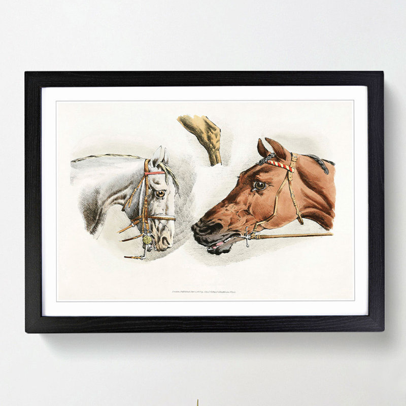 Illustrations of Horses by Henry Alken - Picture Frame Painting Print, 36cm H x 48cm W x 2cm D, Black Framed